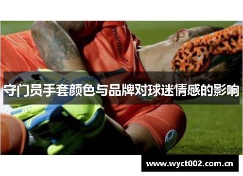守门员手套颜色与品牌对球迷情感的影响